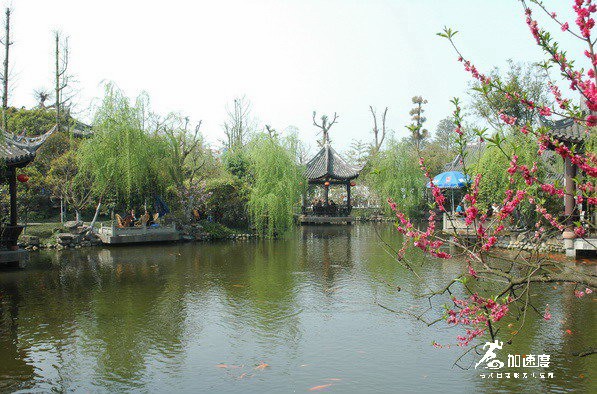 成都適合團建的地方有哪些？華陽西蜀人家就不錯