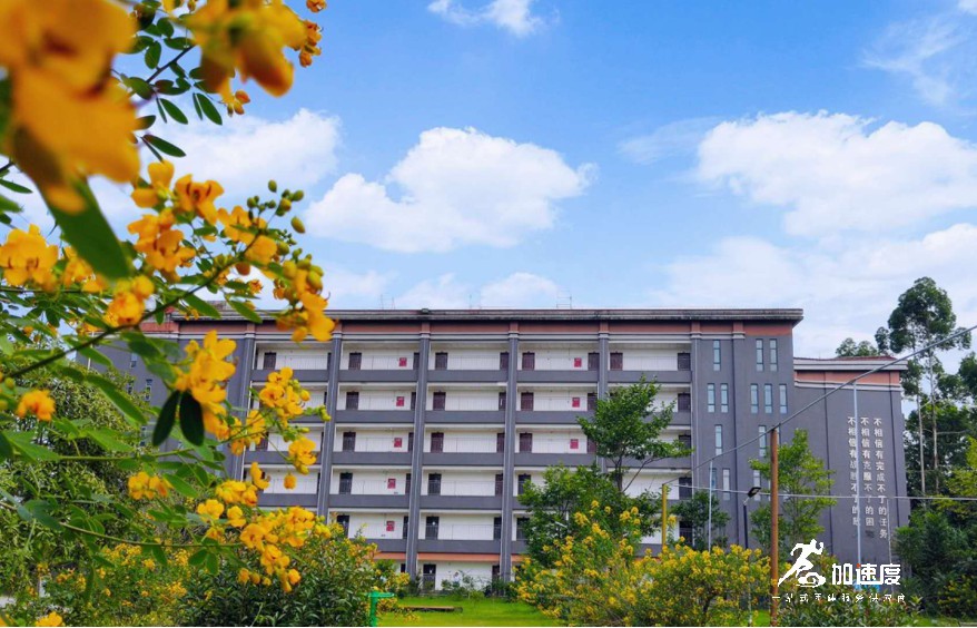 崇州天府怡園，成都近郊適合團建的地方，車程50分鐘