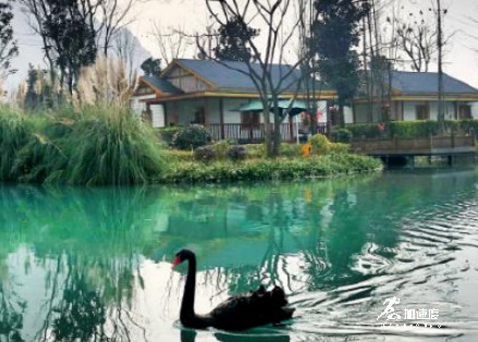 成都附近露營的好地方，小魚洞斷橋漁歌，燒烤、玩水、爬山都齊了