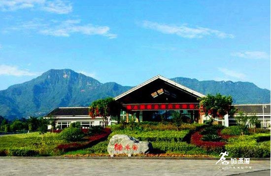 成都周邊兩日游團(tuán)建，雅安周公山溫泉看碧峰峽熊貓